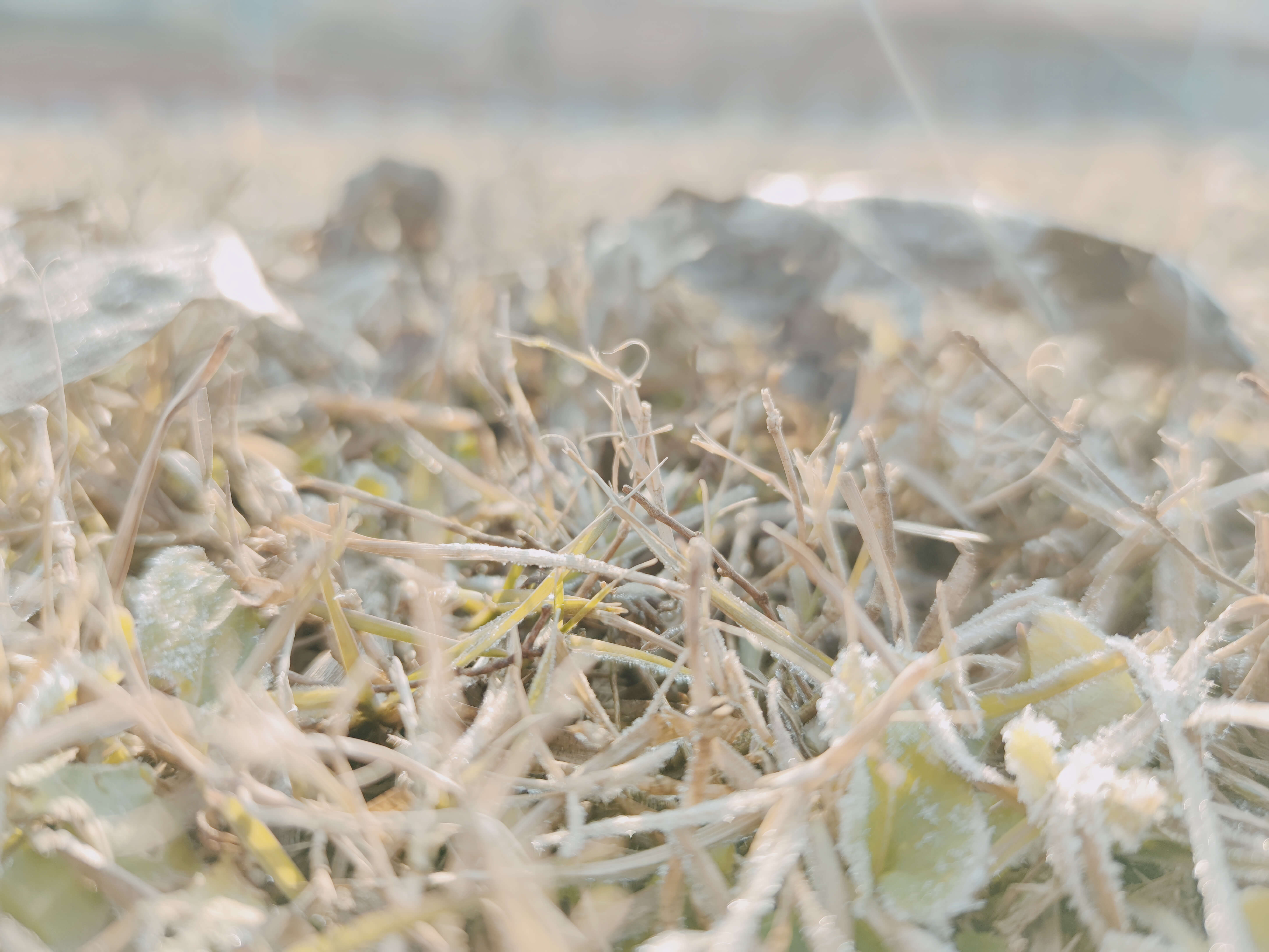 不二44的個(gè)人主頁(yè)（封面預(yù)覽） - 主頁(yè)封面設(shè)置 - 站酷設(shè)計(jì)師不二44原創(chuàng)素材 - 站酷ZCOOL