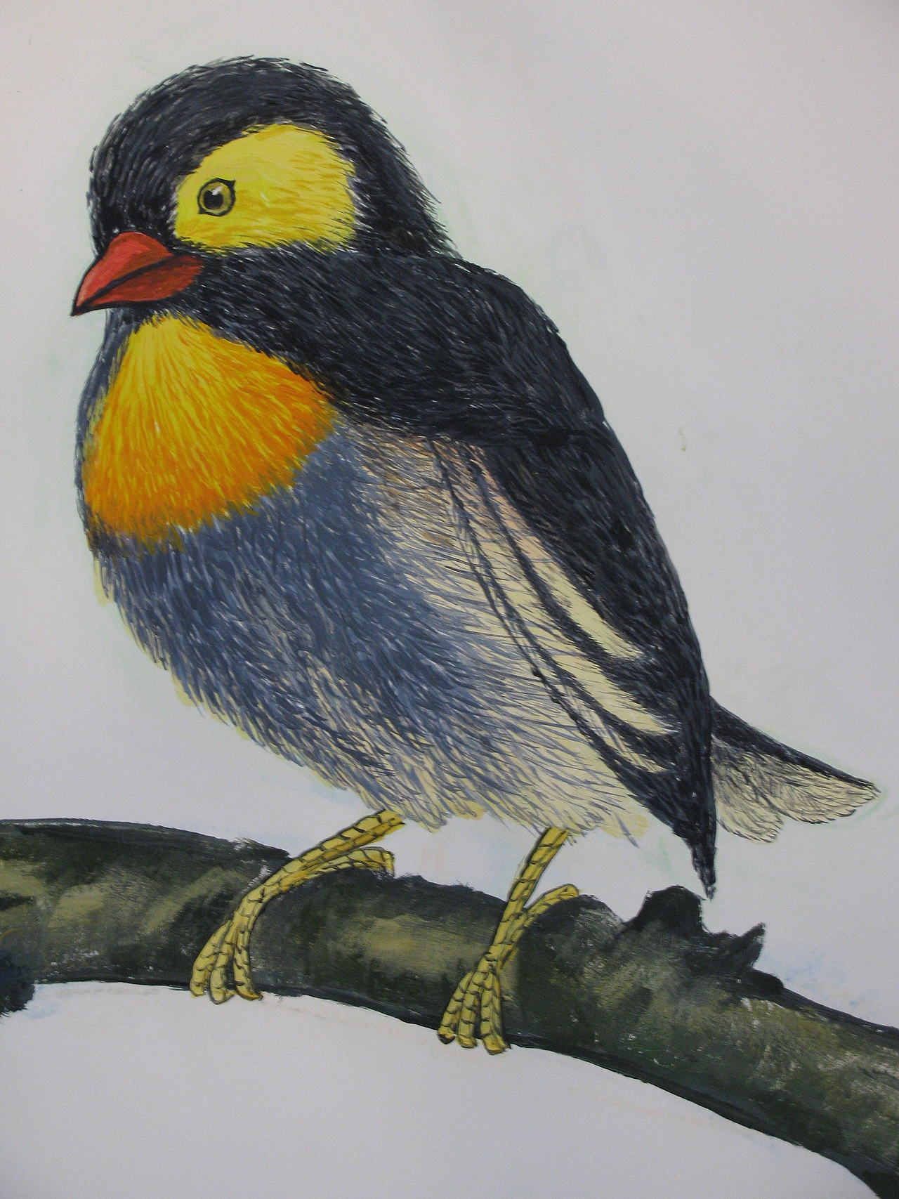 大学生做的各种墙绘丙烯画兼职老作品翻箱底的打包放站酷oo