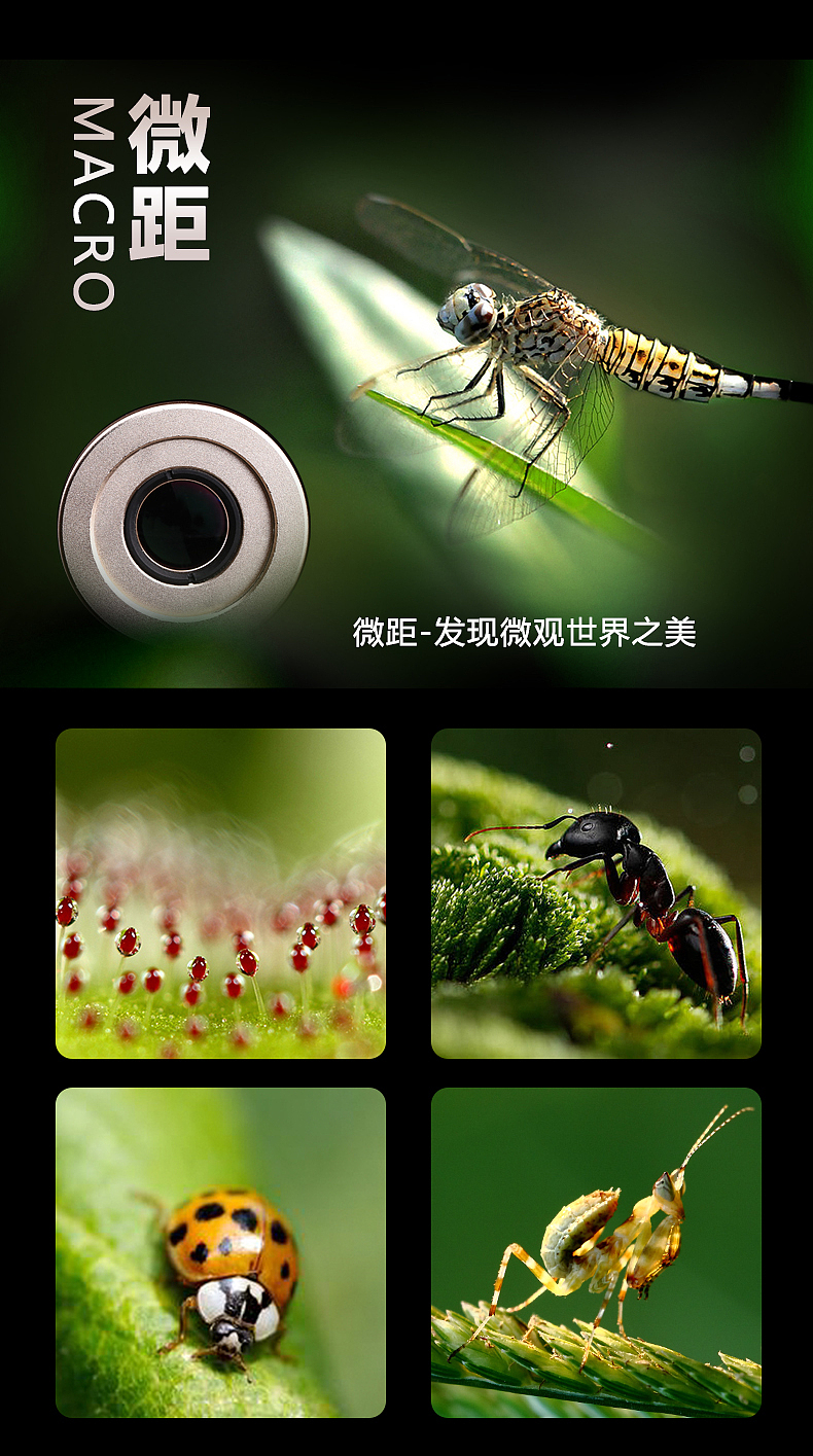 手机镜头（图ZMTUwNDg1NTcy） - 电商 - 站酷设计师五毛钱特效设计原创素材 - 站酷ZCOOL