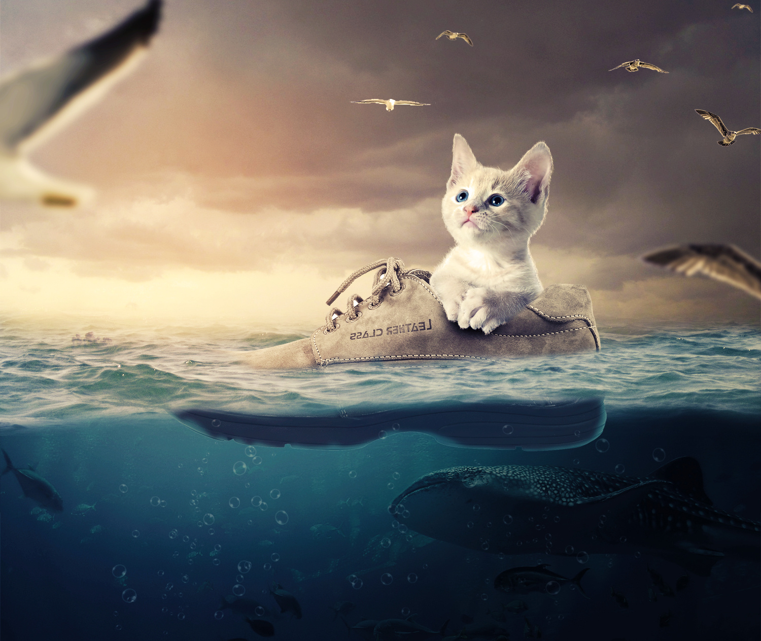 练习小猫漂流记合成图(附带源文件)|平面|其他平面|bambi设计 - 原创