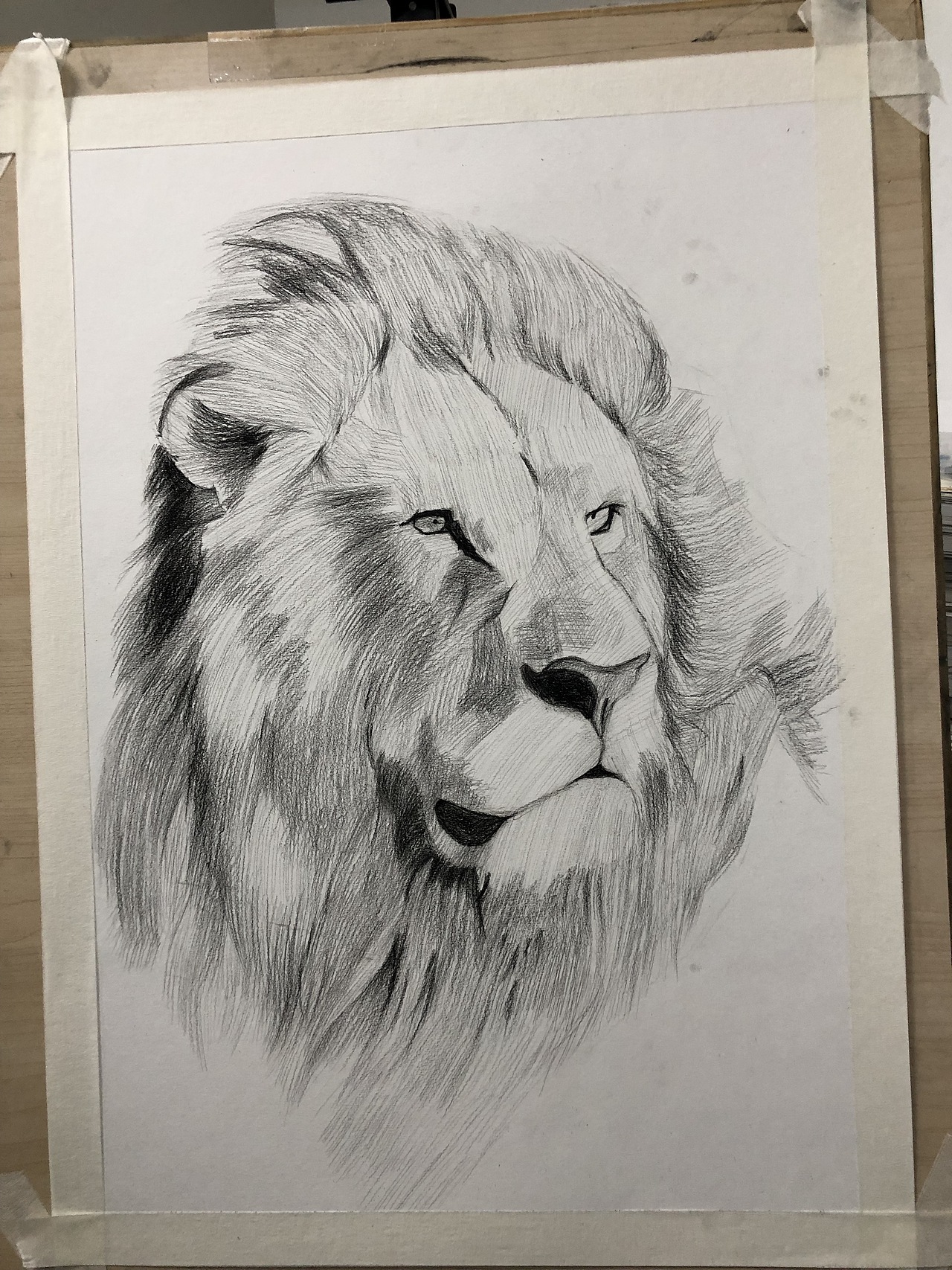 素描臨摹獅子???（圖ZMjYyNDcyMTY0） - 繪畫 - 站酷設(shè)計(jì)師辰悅Wendy原創(chuàng)素材 - 站酷ZCOOL