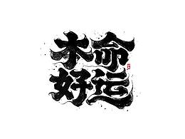 研究报告