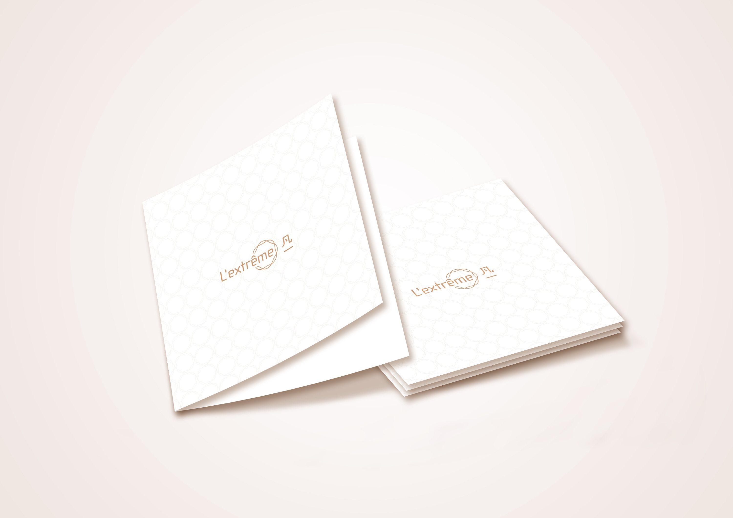 某产品说明书及效果图