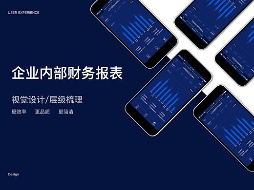 企业内部财务报表