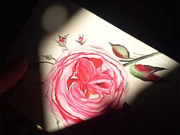 如何画一个手绘的花呢