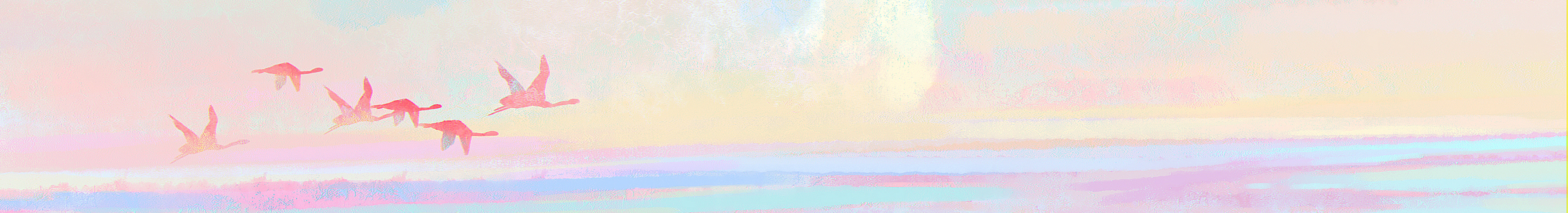 huang慌的个人主页（封面预览） - 主页封面设置 - 站酷设计师huang慌原创素材 - 站酷ZCOOL