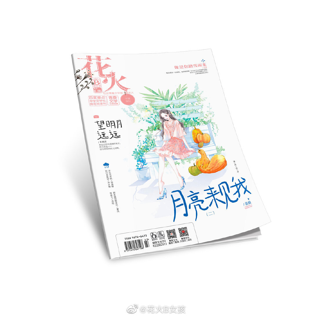 我画的封面—因为热爱所以坚持