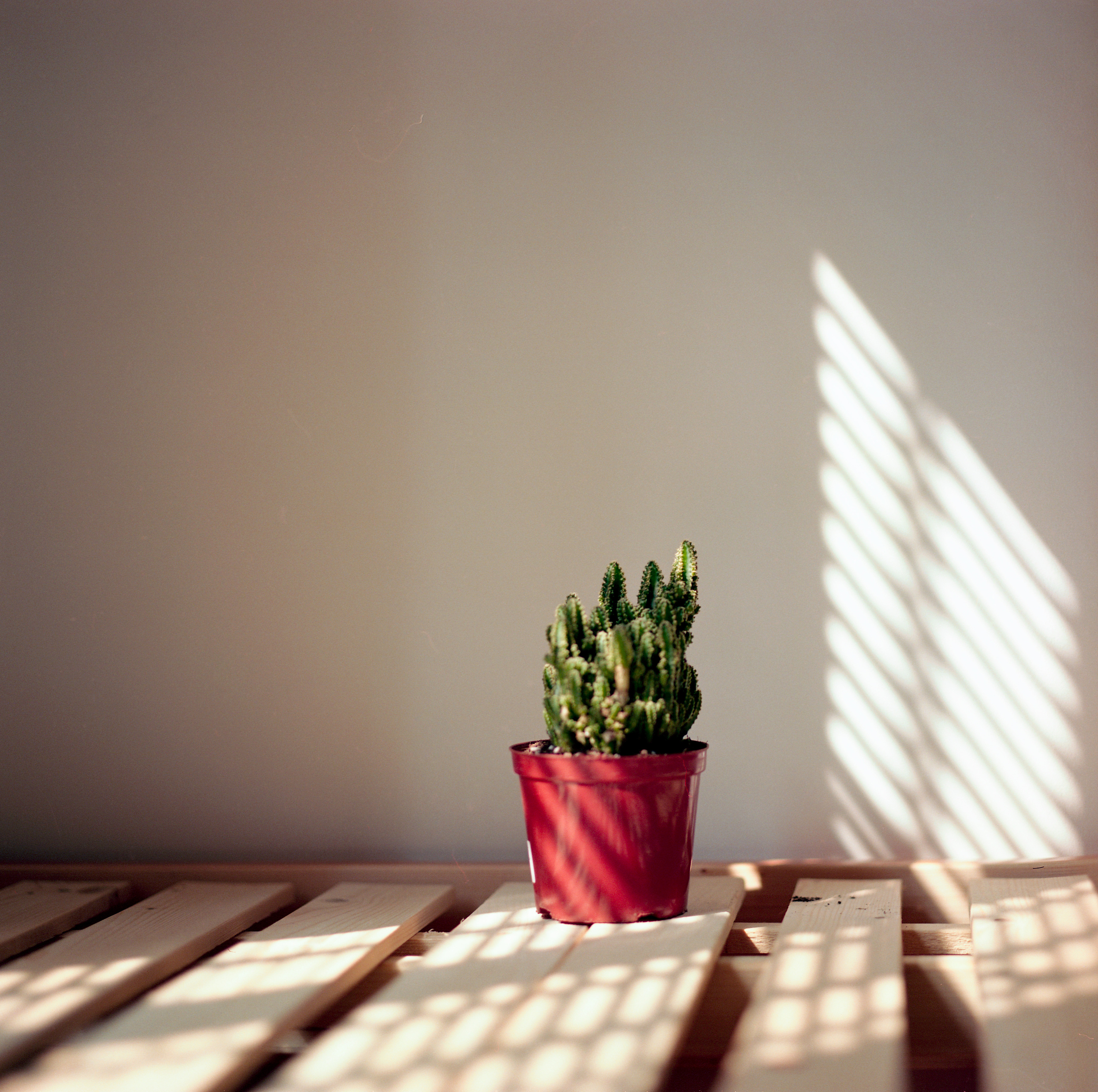 生活碎片vol.1|摄影|胶片|24_航 - 原创作品 - 站酷 (zcool)