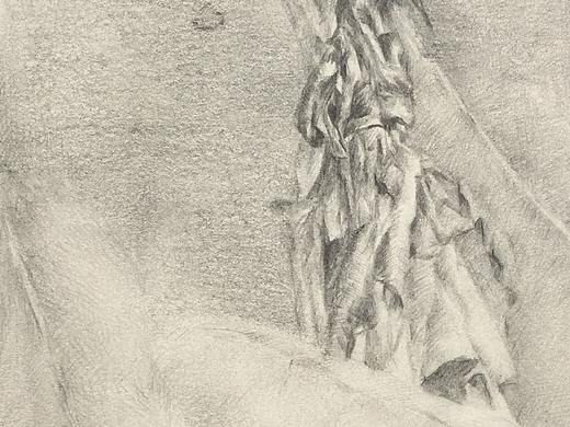 植物之六（個(gè)人主頁-ZMzc0NDc4ODg=） - 創(chuàng)作習(xí)作 - 站酷設(shè)計(jì)師dhyang原創(chuàng)素材 - 站酷ZCOOL