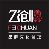 飞创视觉的头像