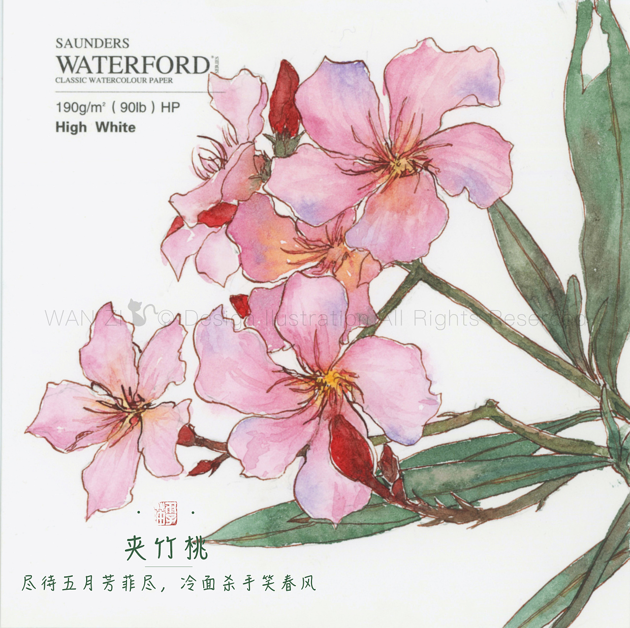 钢笔淡彩植物图鉴1|插画|创作习作|爱吃丸子的猫 - 原创作品 - 站酷