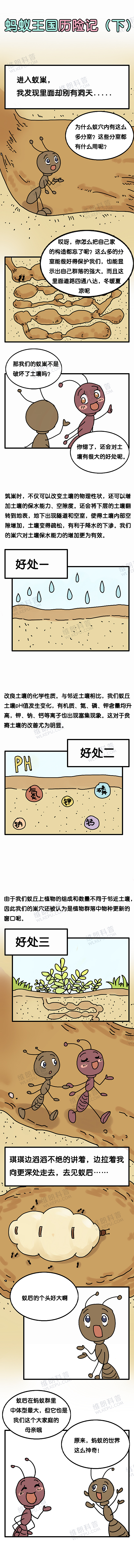 维朗科普——蚂蚁搬家（图ZMTA4MDg3ODA0） - 短篇/格漫 - 站酷设计师蘑菇哥原创素材 - 站酷ZCOOL