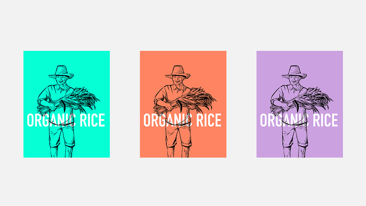 大米包装设计（图ZMjE2NjkyNzAw） - 包装 - 站酷设计师狼觉品牌设计原创素材 - 站酷ZCOOL