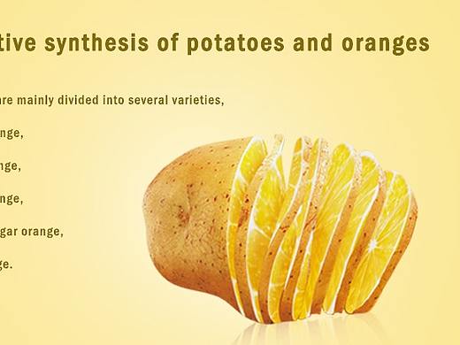 土豆橙子合成（个人主页-ZMzM3MjMwMTY=） - 其他平面 - 站酷设计师赵亚楠37原创素材 - 站酷ZCOOL