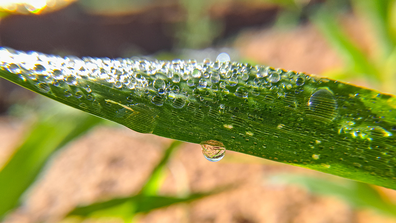 好久没有拍照片了,回了一趟农村,清爽的夏日,干净的空气,怡人的风光.
