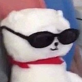 一摇的头像