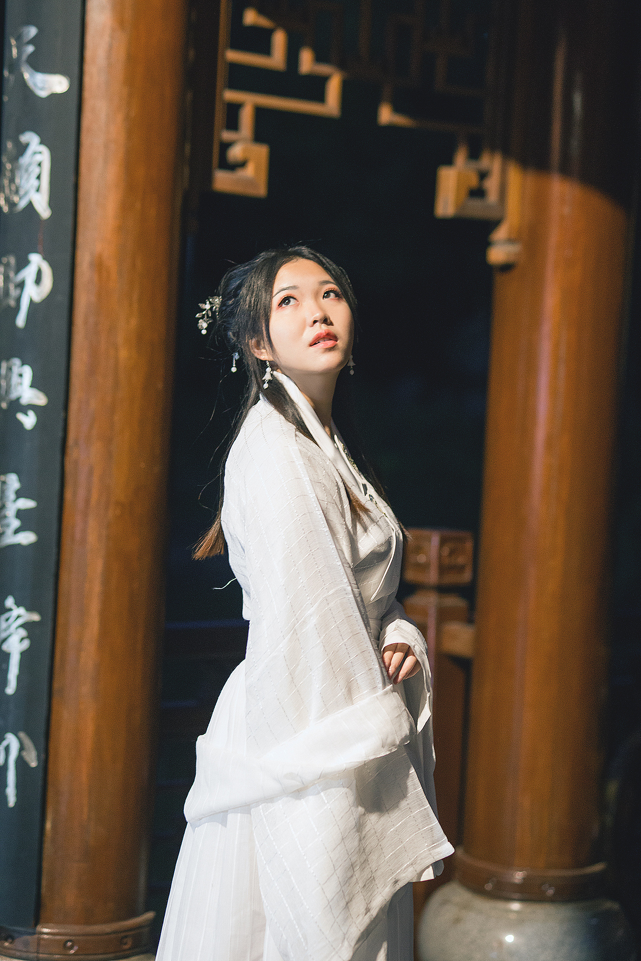 银装素裹 富贵荣华