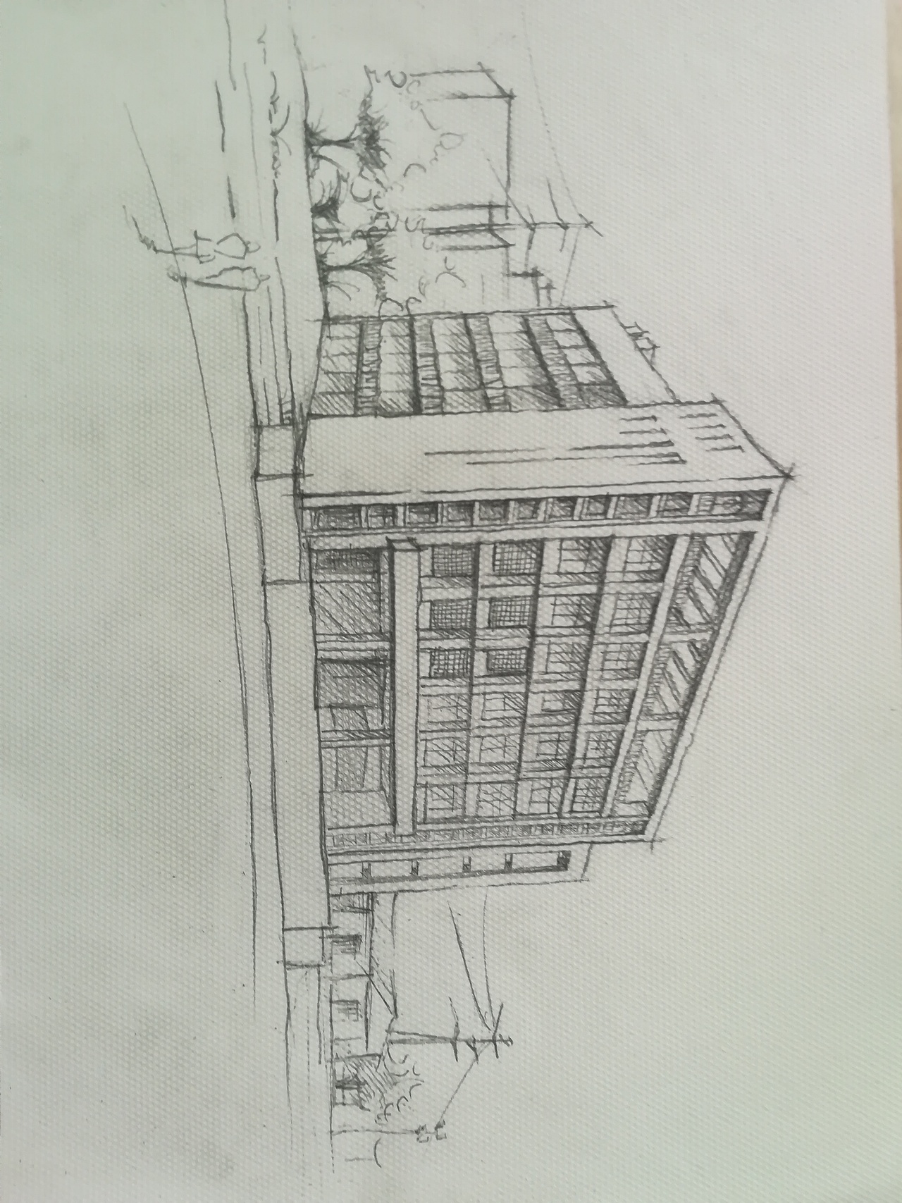 风景速写校园写生