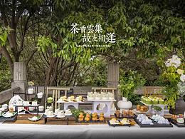 云龙让茶三周年活动拍摄