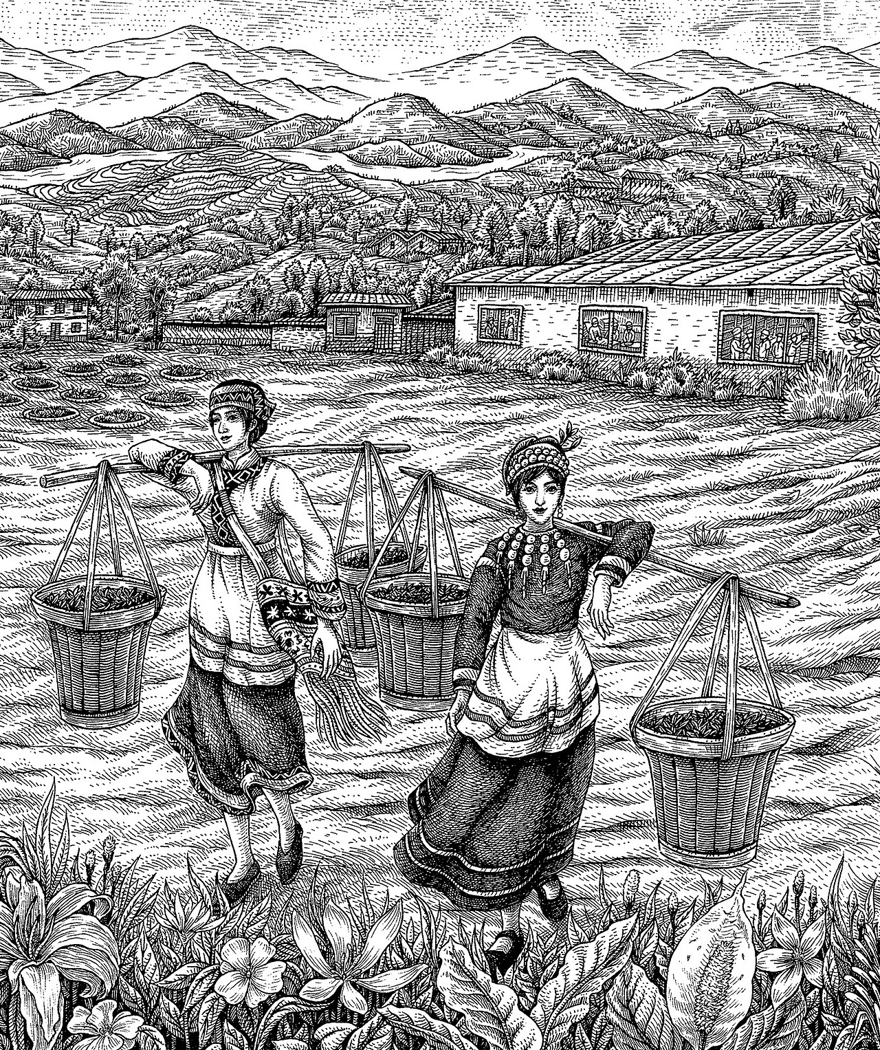 《七彩云南茶》手绘作品