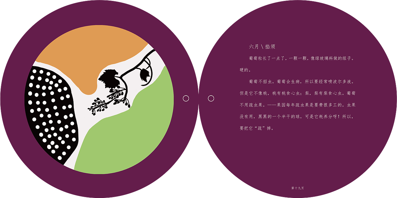 书籍插画设计-葡萄很甜