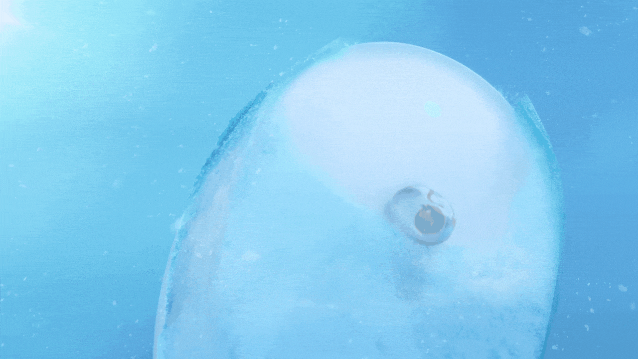 《Summer海洋之声》