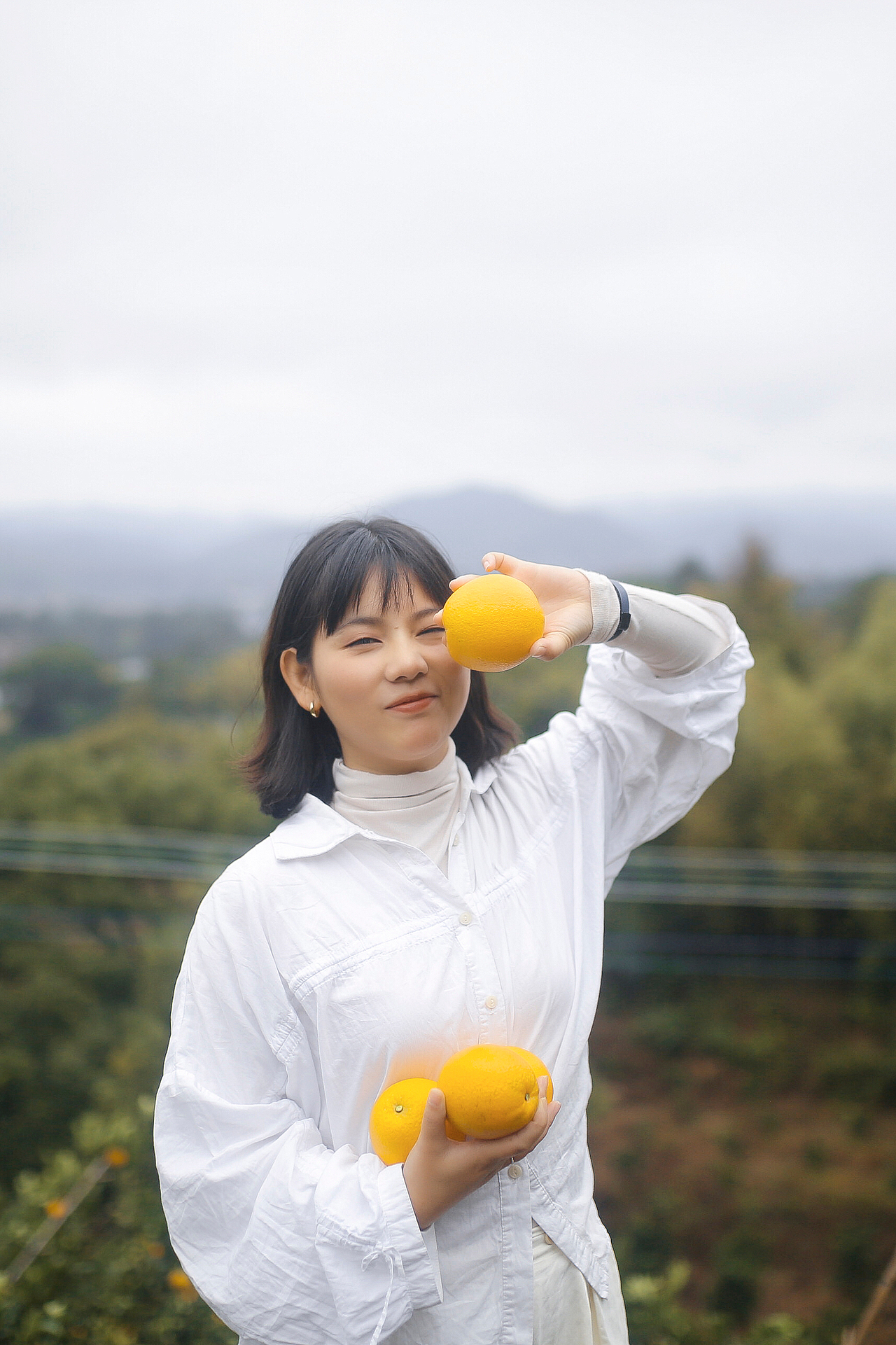 摘果子 赣南脐橙（图ZMjc2Njk4NjI0） - 产品摄影 - 站酷设计师咔咔小星星原创素材 - 站酷ZCOOL