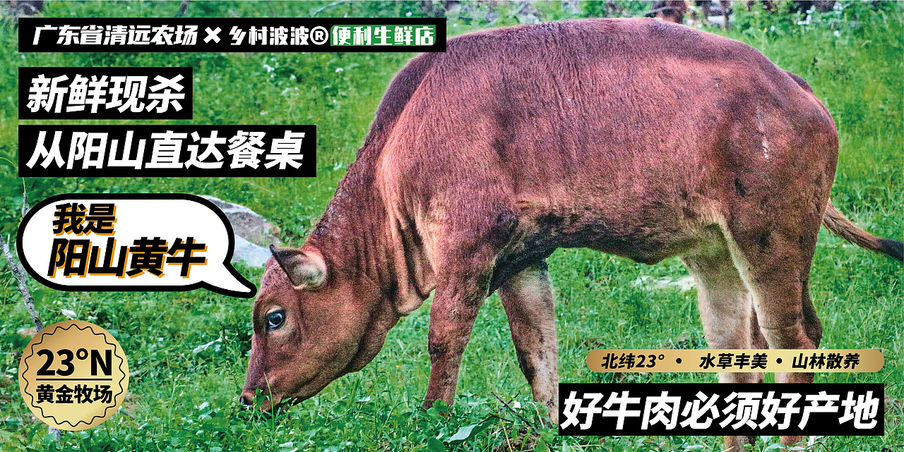 生鲜品牌如何拉近农场到餐桌的距离——乡村波波