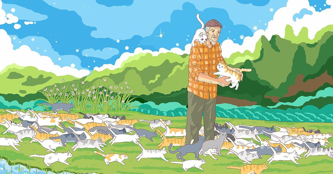 老爷爷和他的一百只猫🐱