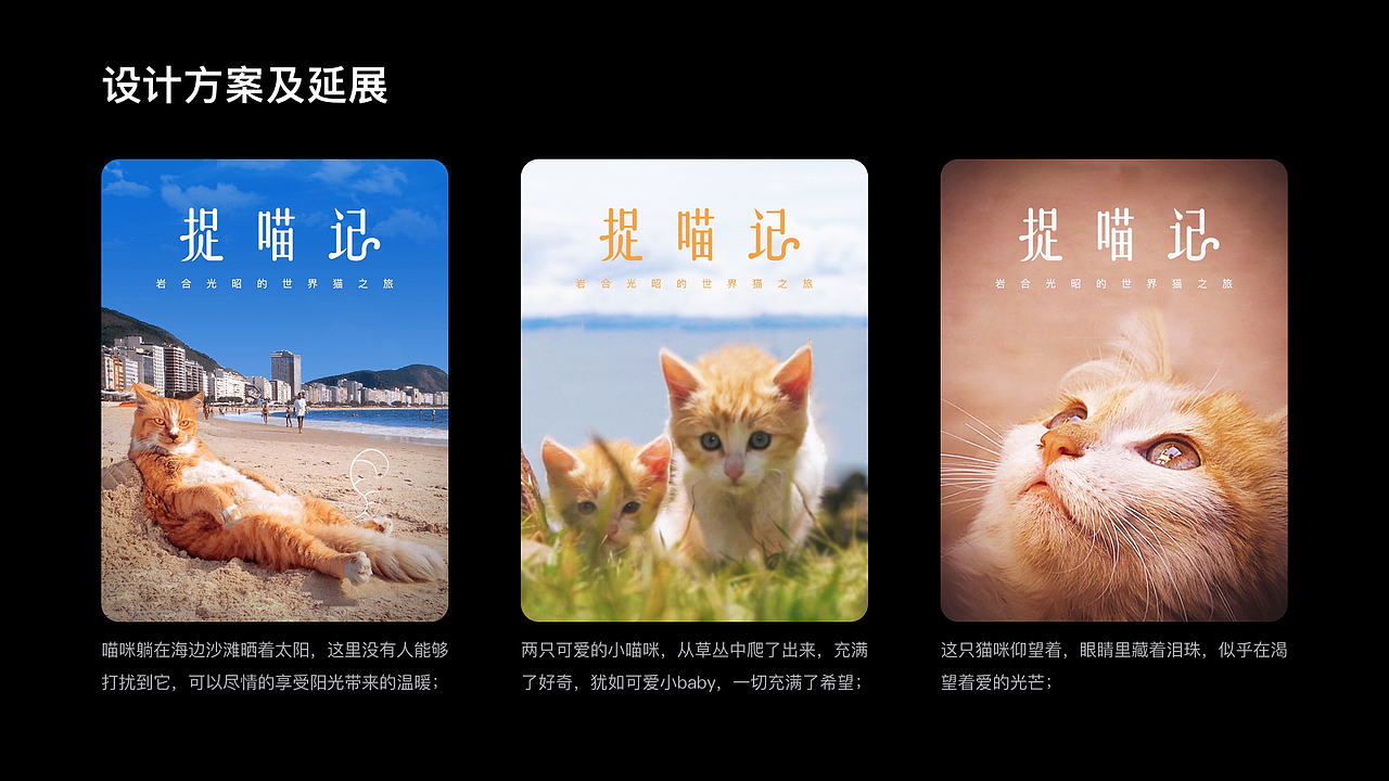 《捉喵记》海报设计
