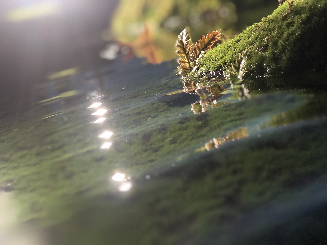 盘点我们拍的Nanci定格动画！人间小甜豆的千层套路！（图ZMjg4OTczMzM2） - 短片 - 站酷设计师蒸汽工场原创素材 - 站酷ZCOOL