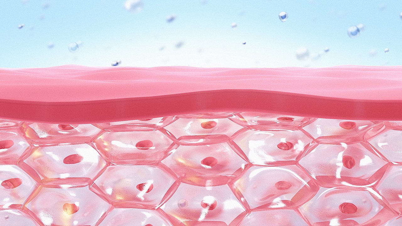 细胞切面（图ZMTI1NjM0MjE2） - 人物/生物 - 站酷设计师North_land原创素材 - 站酷ZCOOL