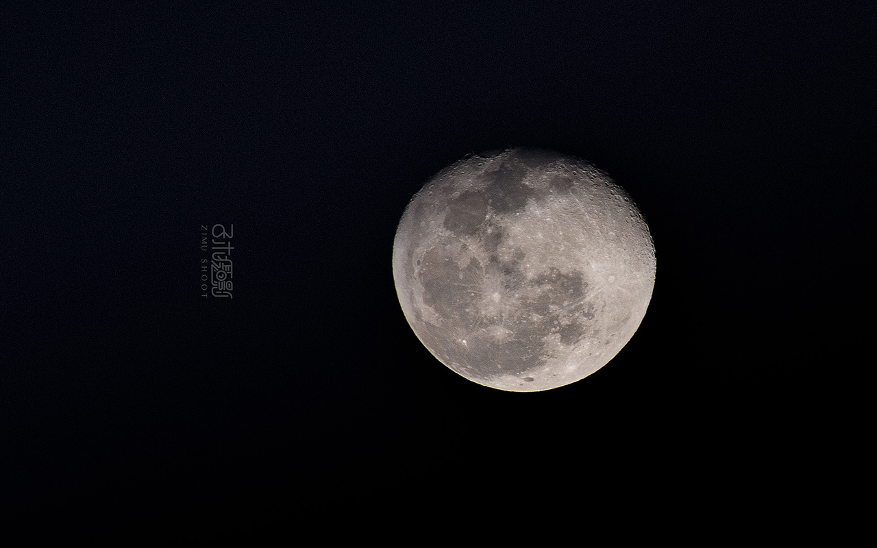 20191214青青世界