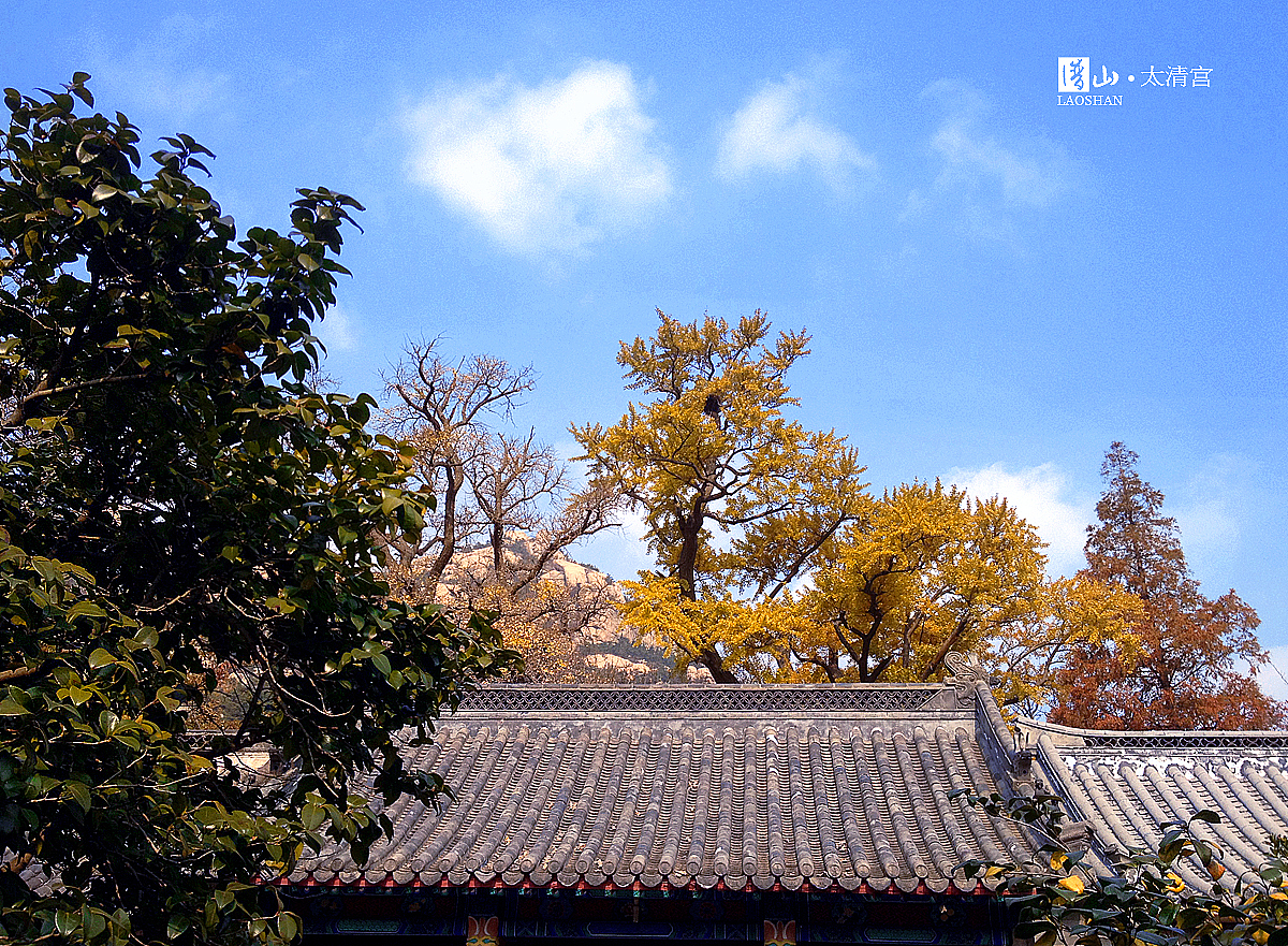 手机撸青岛（图ZMTI4MTYyMjA=） - 风光摄影 - 站酷设计师周口设计原创素材 - 站酷ZCOOL