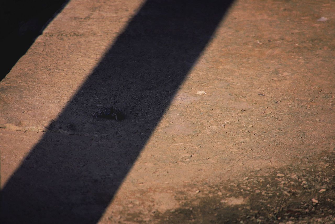 广州大刀沙村之事物篇 Vol.1