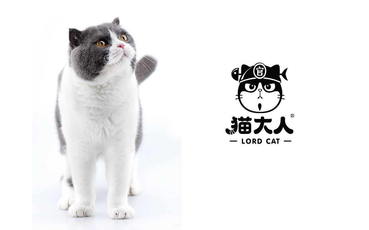猫大人品牌升级 猫大人品牌升级