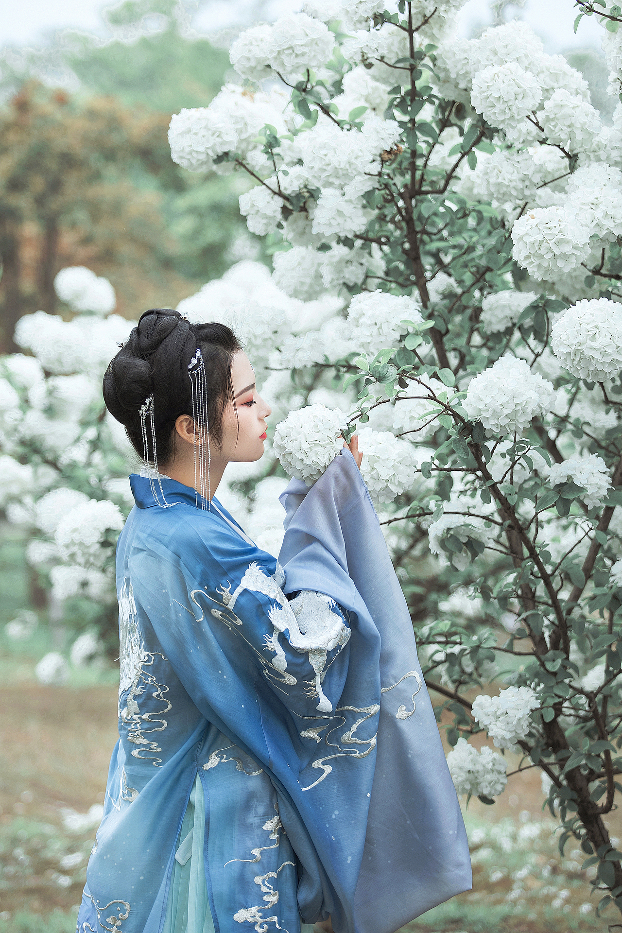 绣球（图ZMTU1MjY2NDY0） - 人像摄影 - 站酷设计师Hansiy原创素材 - 站酷ZCOOL