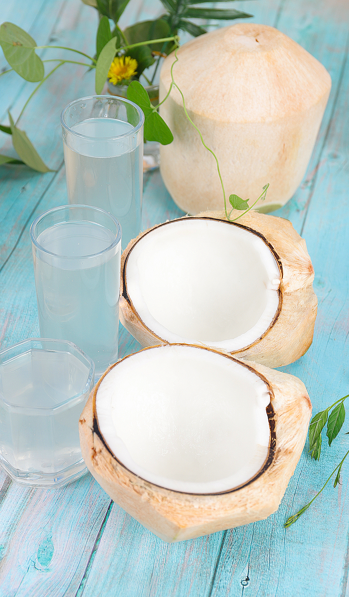 水果拍摄-海南椰青