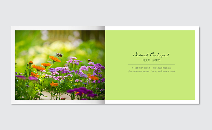 蜂典蜂蜜-画册设计