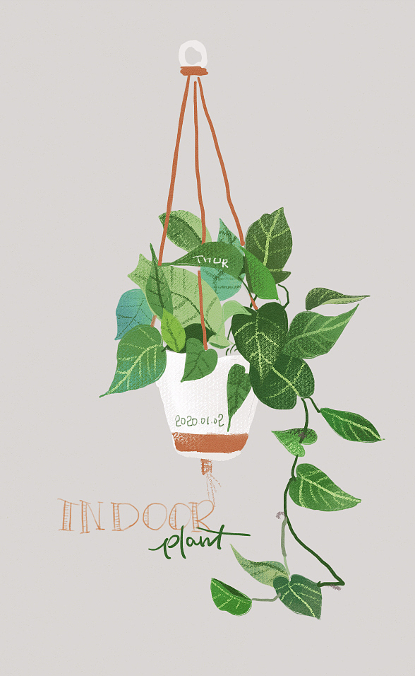 植物插画练习（图ZMTkyMDA3MzYw） - 创作习作 - 站酷设计师jenrien原创素材 - 站酷ZCOOL