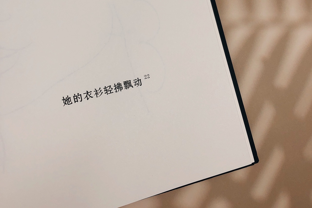 拍书:波德莱尔——恶之花(插图珍藏版)