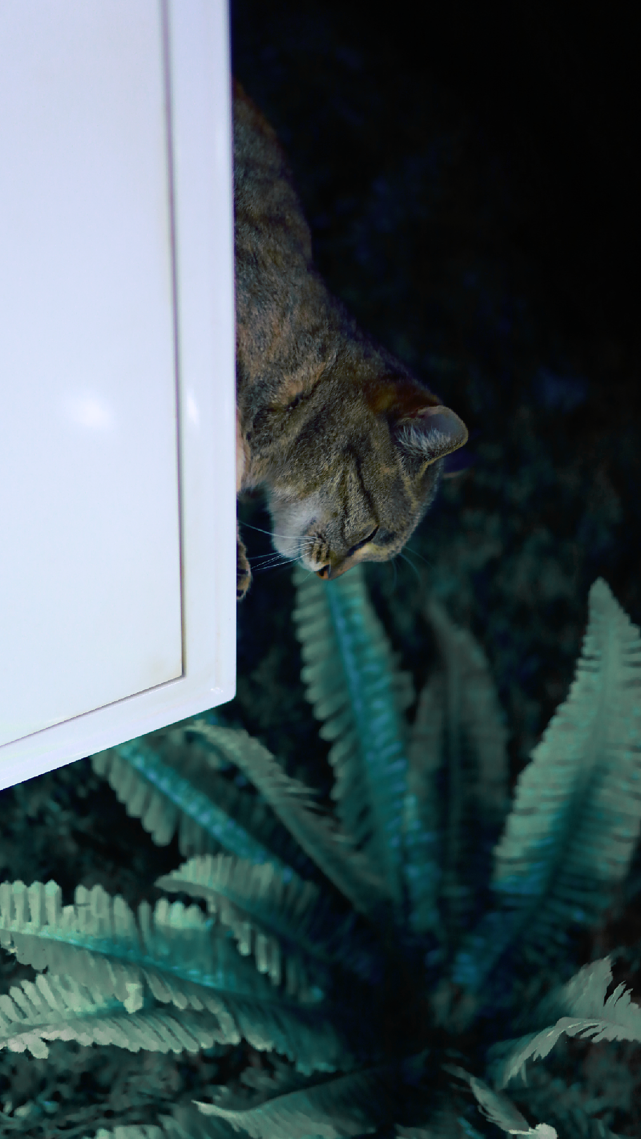 “容纳一切生活的轨迹”