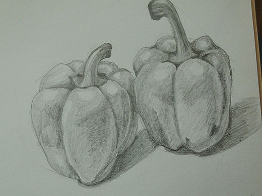 毫无素描训练作品四之《青椒》（个人主页-ZMzE2MDk5Mg==） - 创作习作 - 站酷设计师Littley小歪原创素材 - 站酷ZCOOL