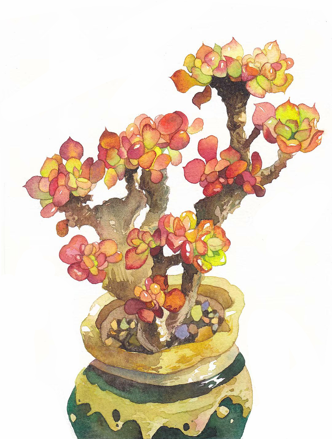 水彩手绘多肉植物系列（图ZMjAxMjAxNTI0） - 绘画 - 站酷设计师插画师酸酸原创素材 - 站酷ZCOOL