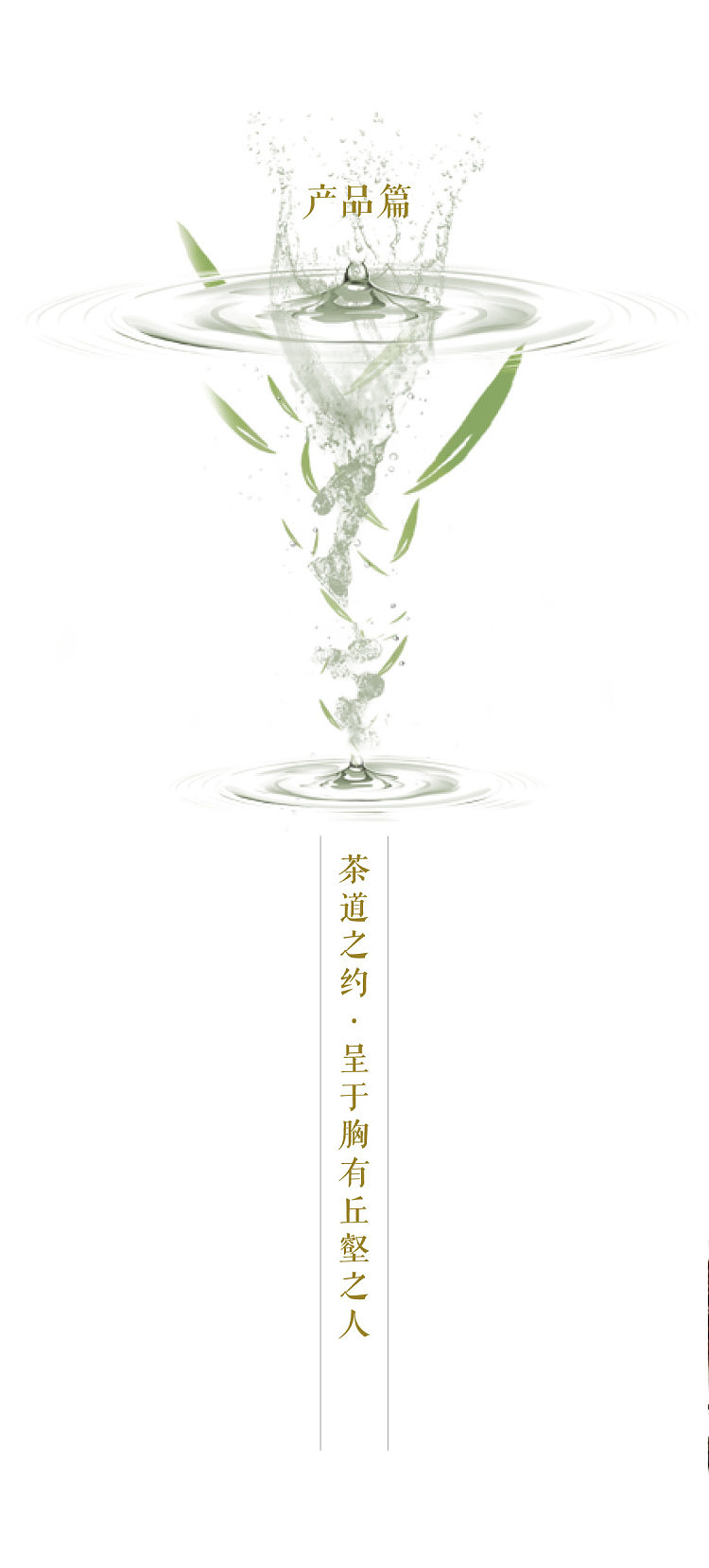 折页（图ZNzAzMjkxMTY=） - 宣传物料 - 站酷设计师桔子韵语原创素材 - 站酷ZCOOL