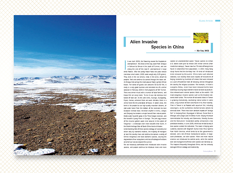 最近做的一本画册（图ZMTEzNDQzMzI=） - 书籍/画册 - 站酷设计师梧桐鸟原创素材 - 站酷ZCOOL