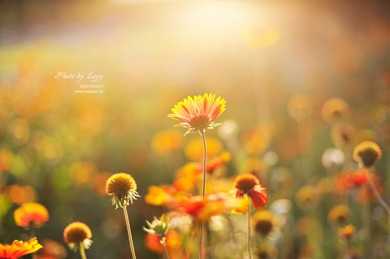 《等,下一个天亮》# layy的时光机 #