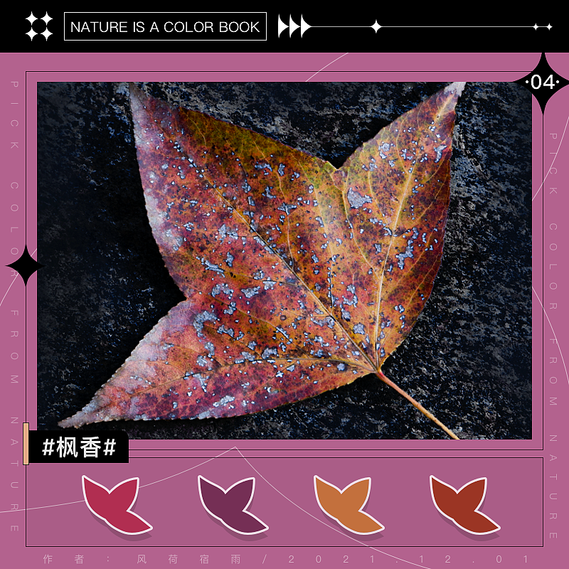 色彩（枫香）（图ZMjgyNzUwMDIw） - 其他 - 站酷设计师风荷宿雨原创素材 - 站酷ZCOOL