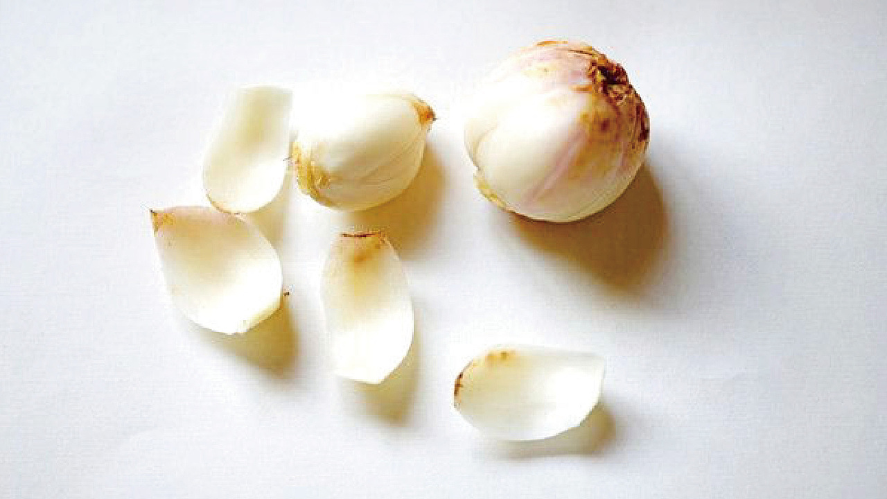 鲜百合包装设计——云点创意（图ZMTI1NzM5MjI0） - 包装 - 站酷设计师云点创意原创素材 - 站酷ZCOOL