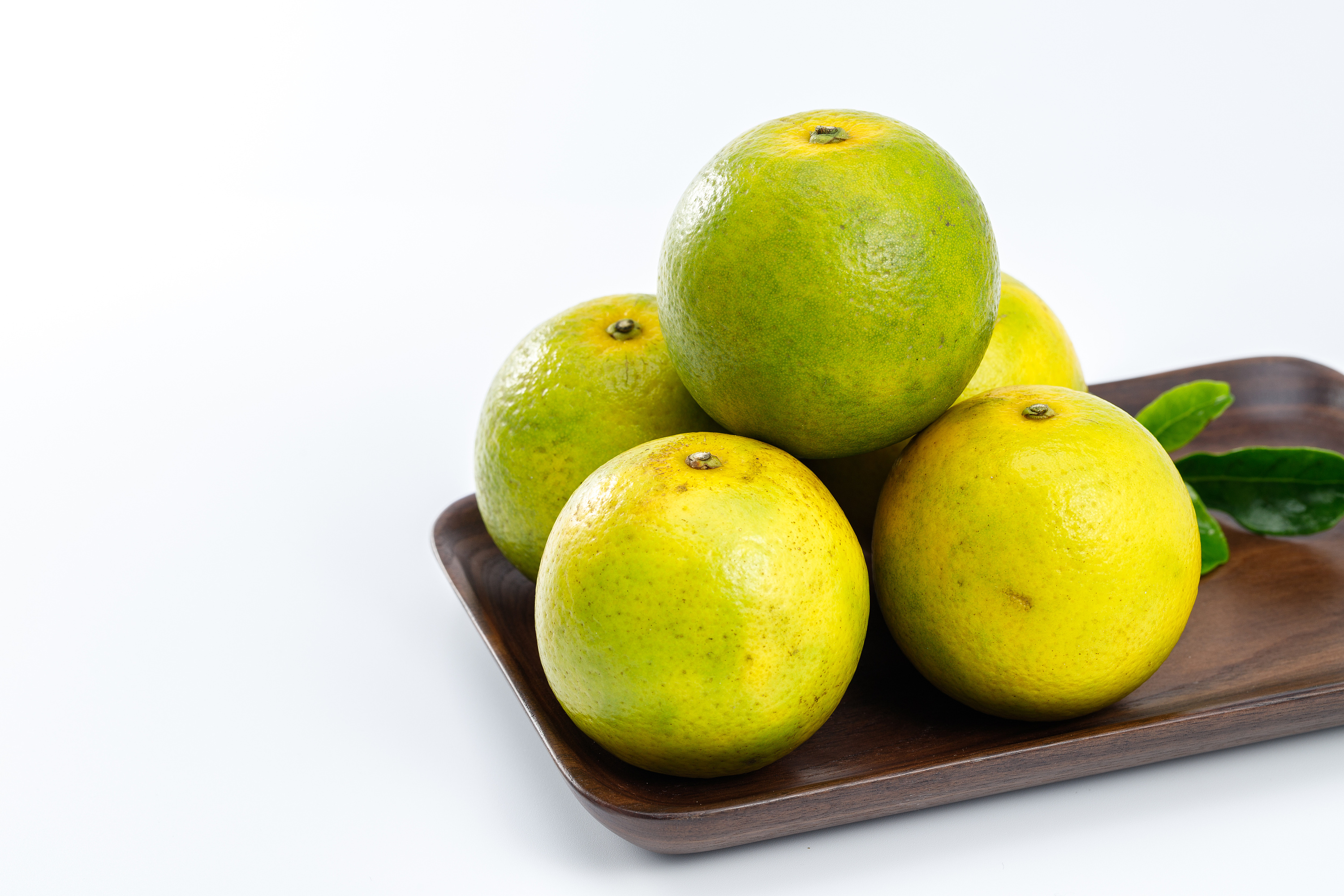 红江橙——鲜果拍摄